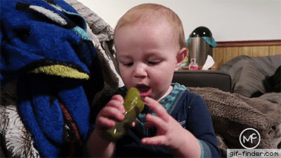 giphy (1).gif