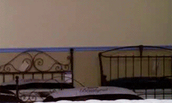 giphy (1).gif