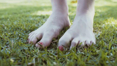 giphy (7).gif