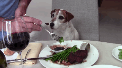 giphy (10).gif