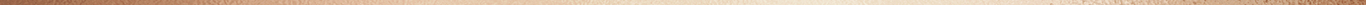 Border 1 - Rose Gold 2.png