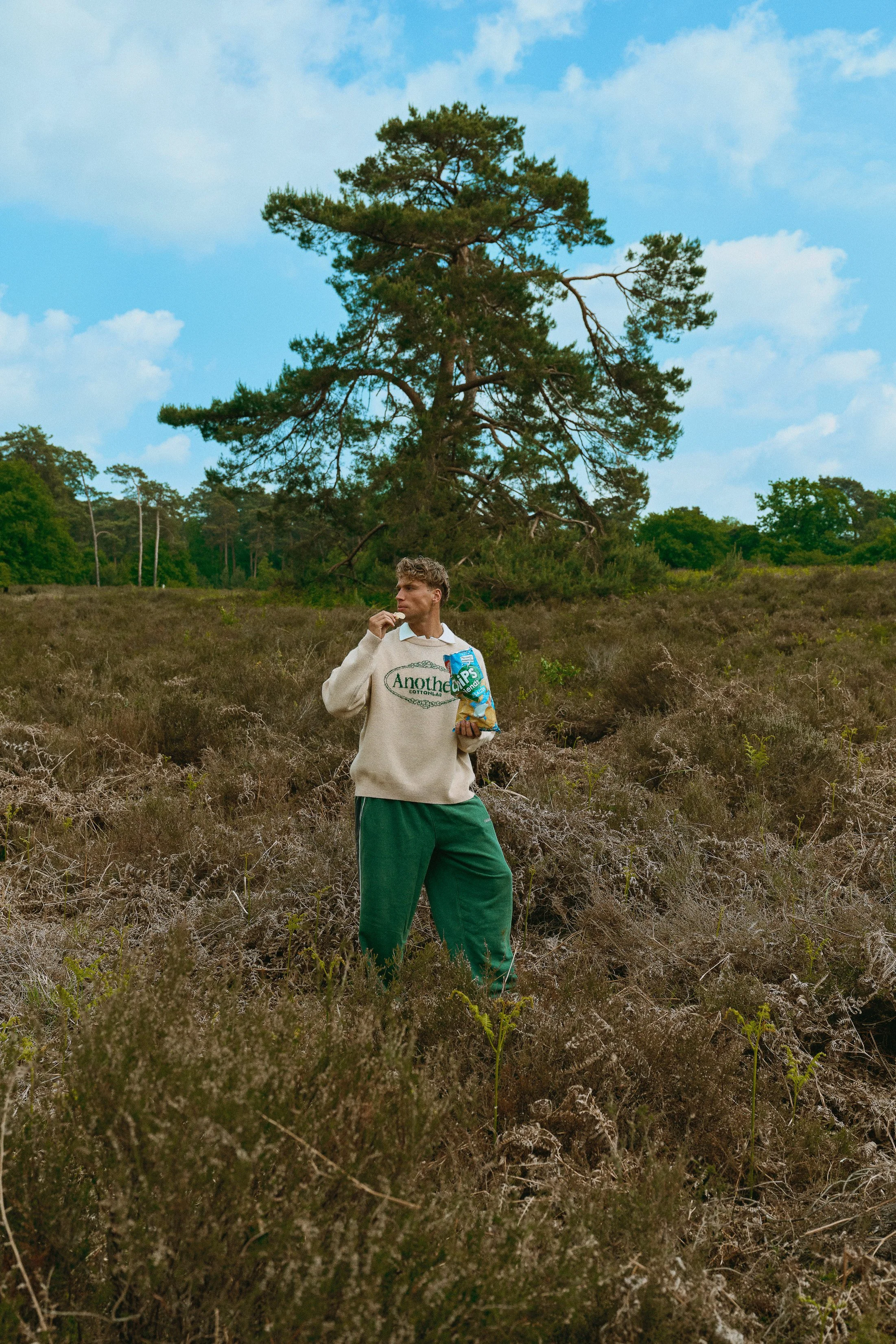 glitchinthefield_5.jpg