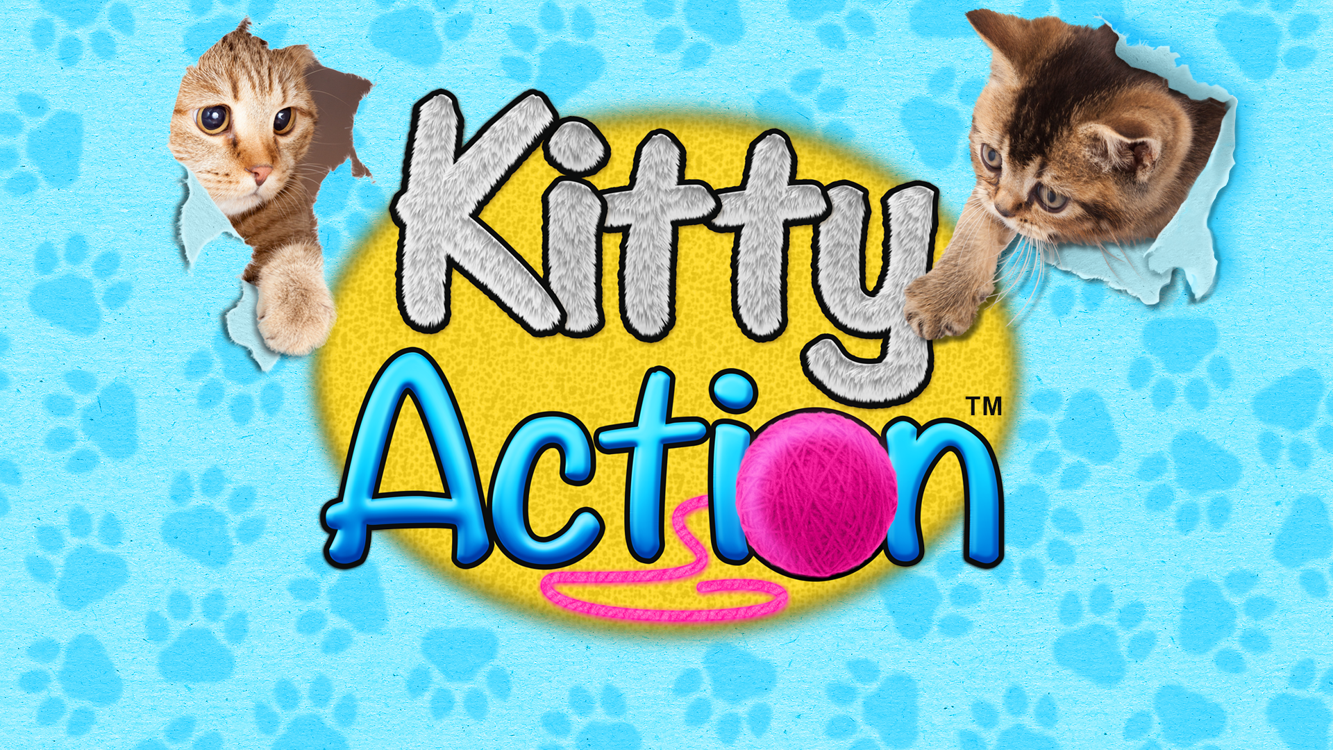 splash_screen_kitty_action.png