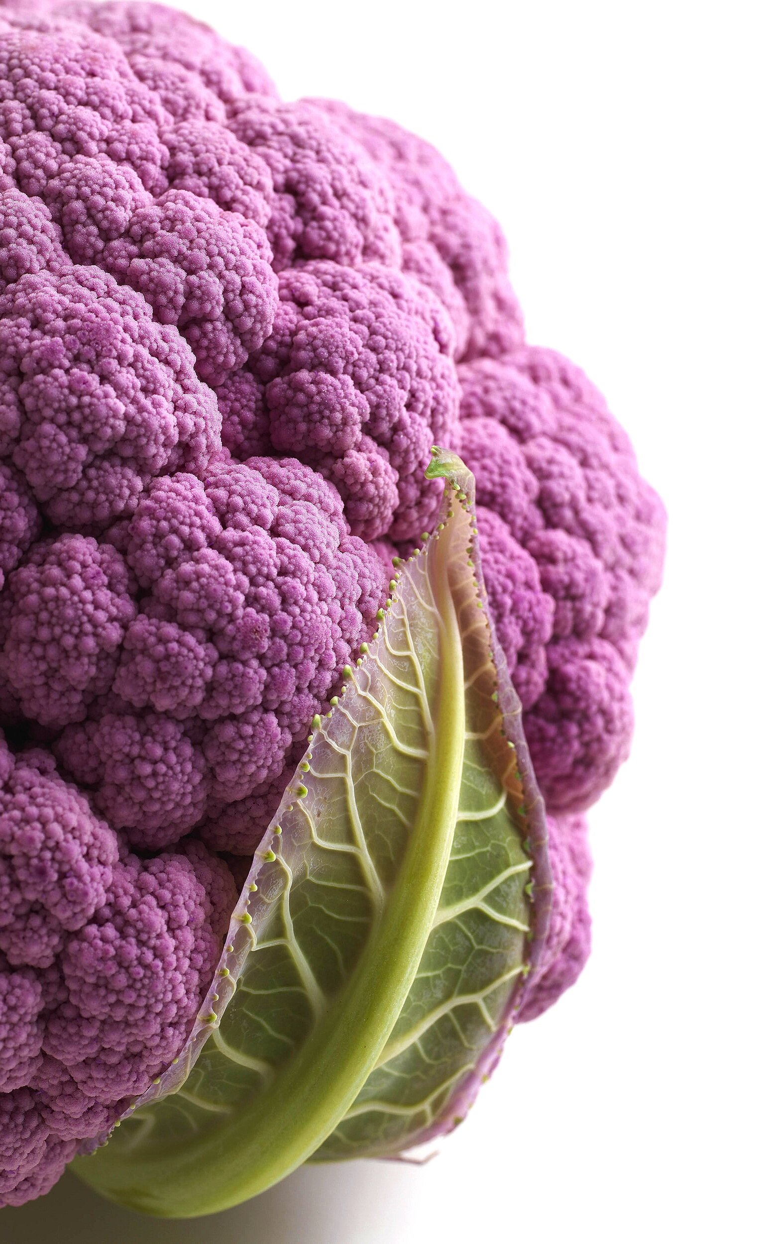 Purple+Cauliflower_10019.jpg