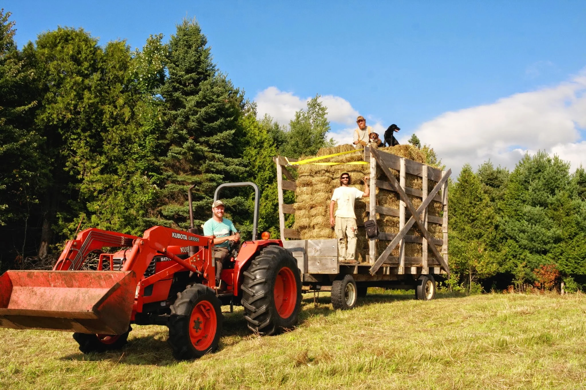 Friends and neighbors help bring in the hay. From left to right: Tom, Andy, John, Ebony, and Abe 