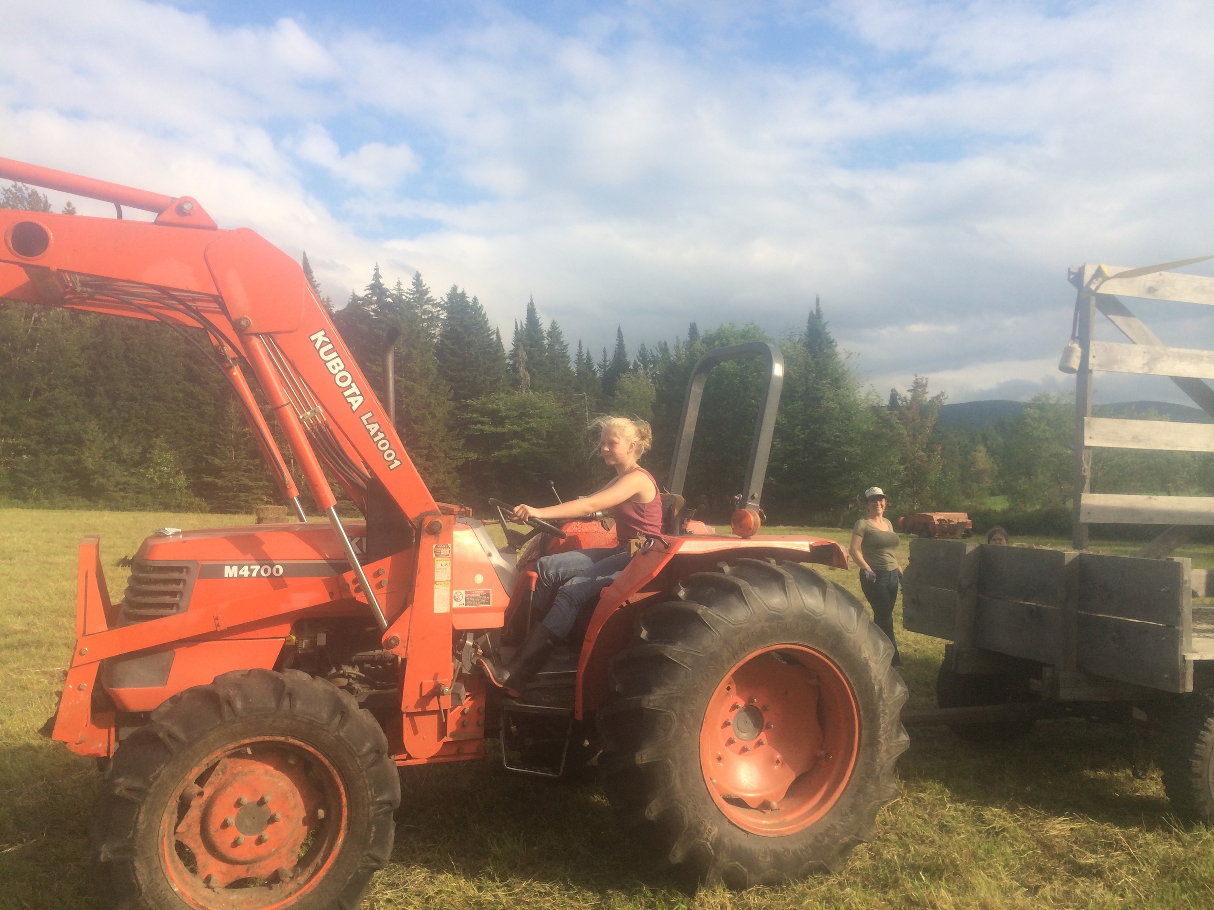 kai driving the hay wagon