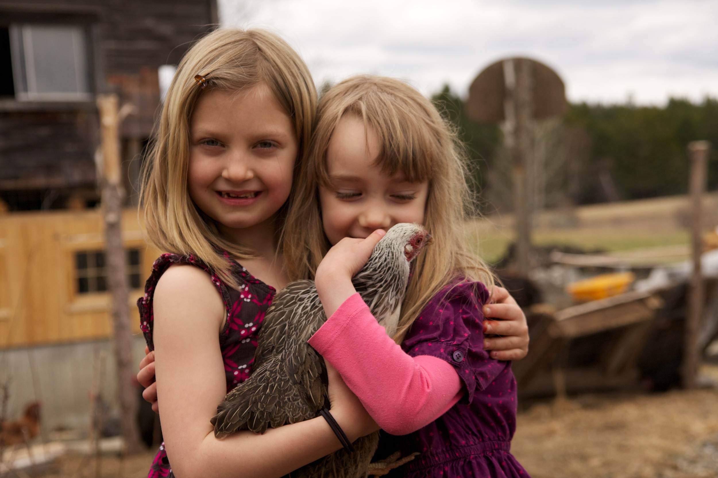thea & Mae in the chicken run