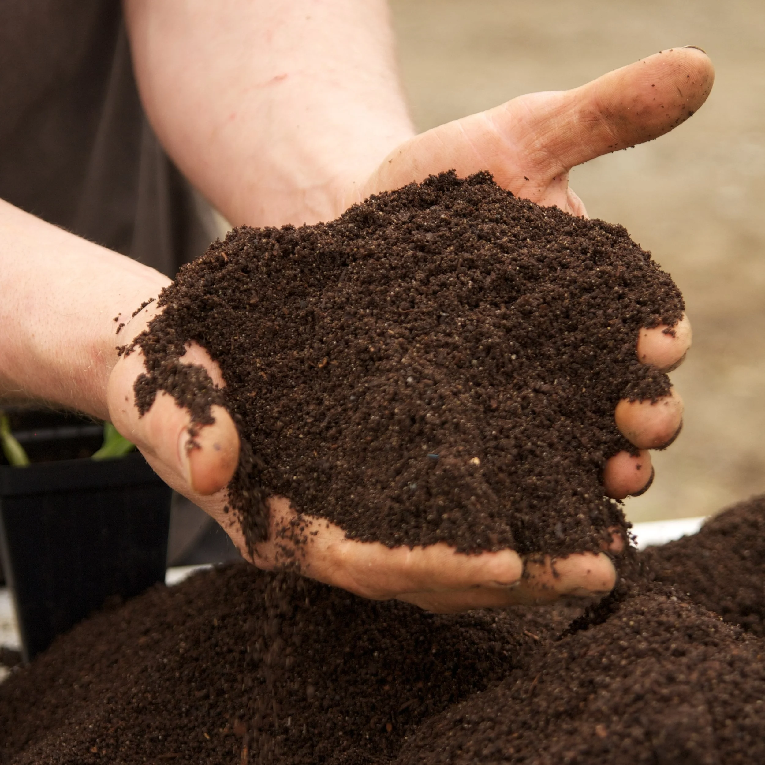 black+dirt+farm+050115+447.jpg