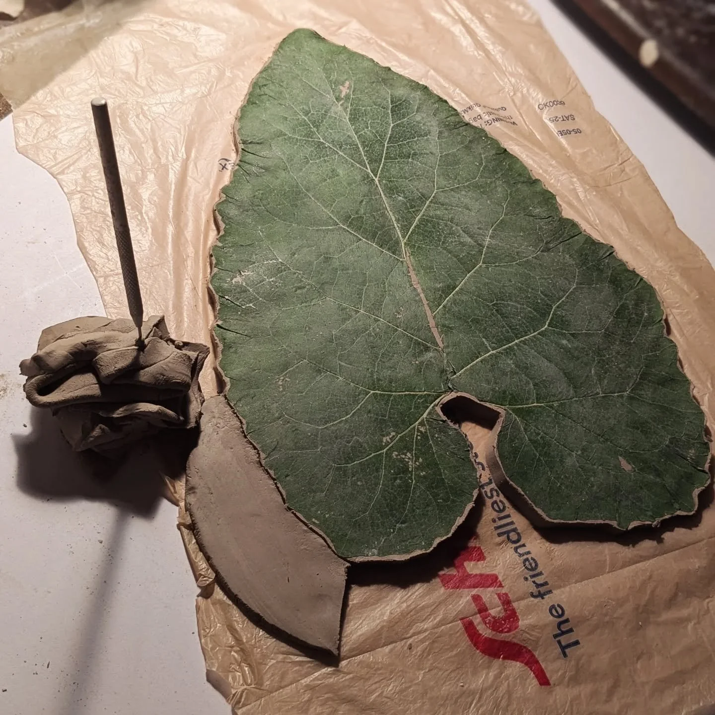 'natural perfection'

#ceramics #pottery #clay #leaf #dish #plate #art #wip #process #inspiration