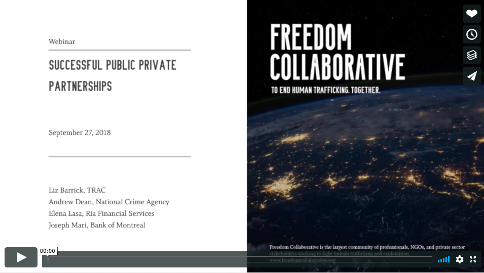 Successful Public-Private Partnerships