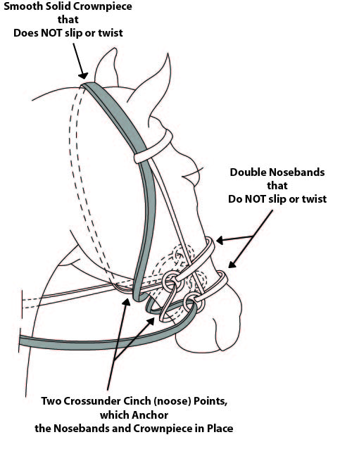 Detailed Separate Bitless Pics 1.jpg