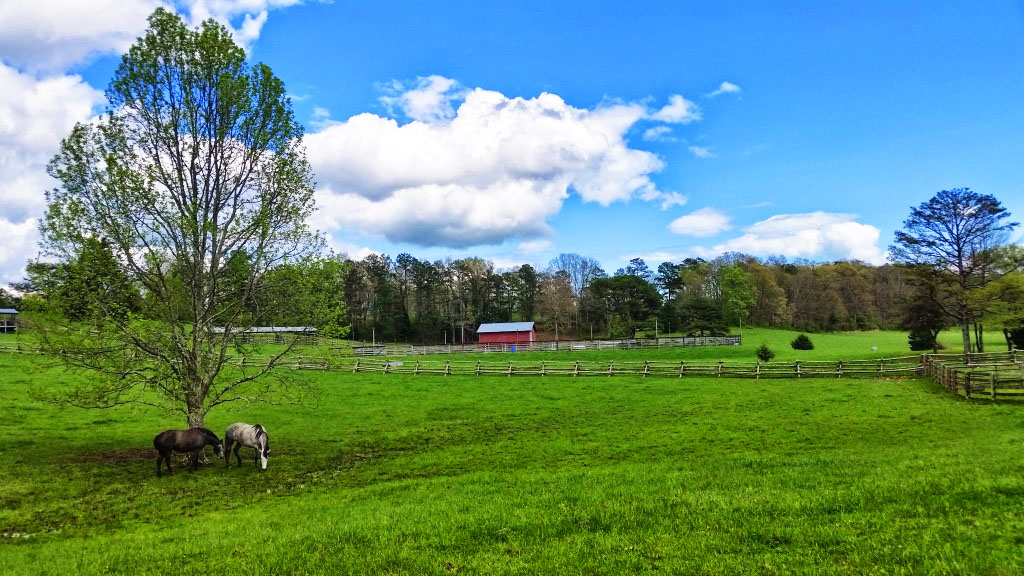 20150420_143732.jpg