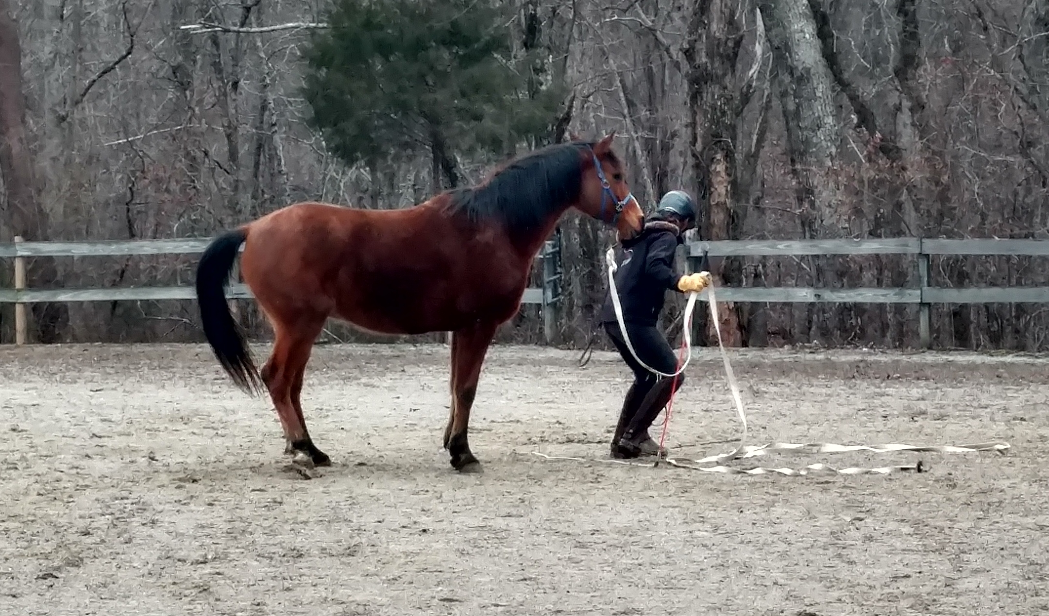 He holds himself differently on the ground too. 