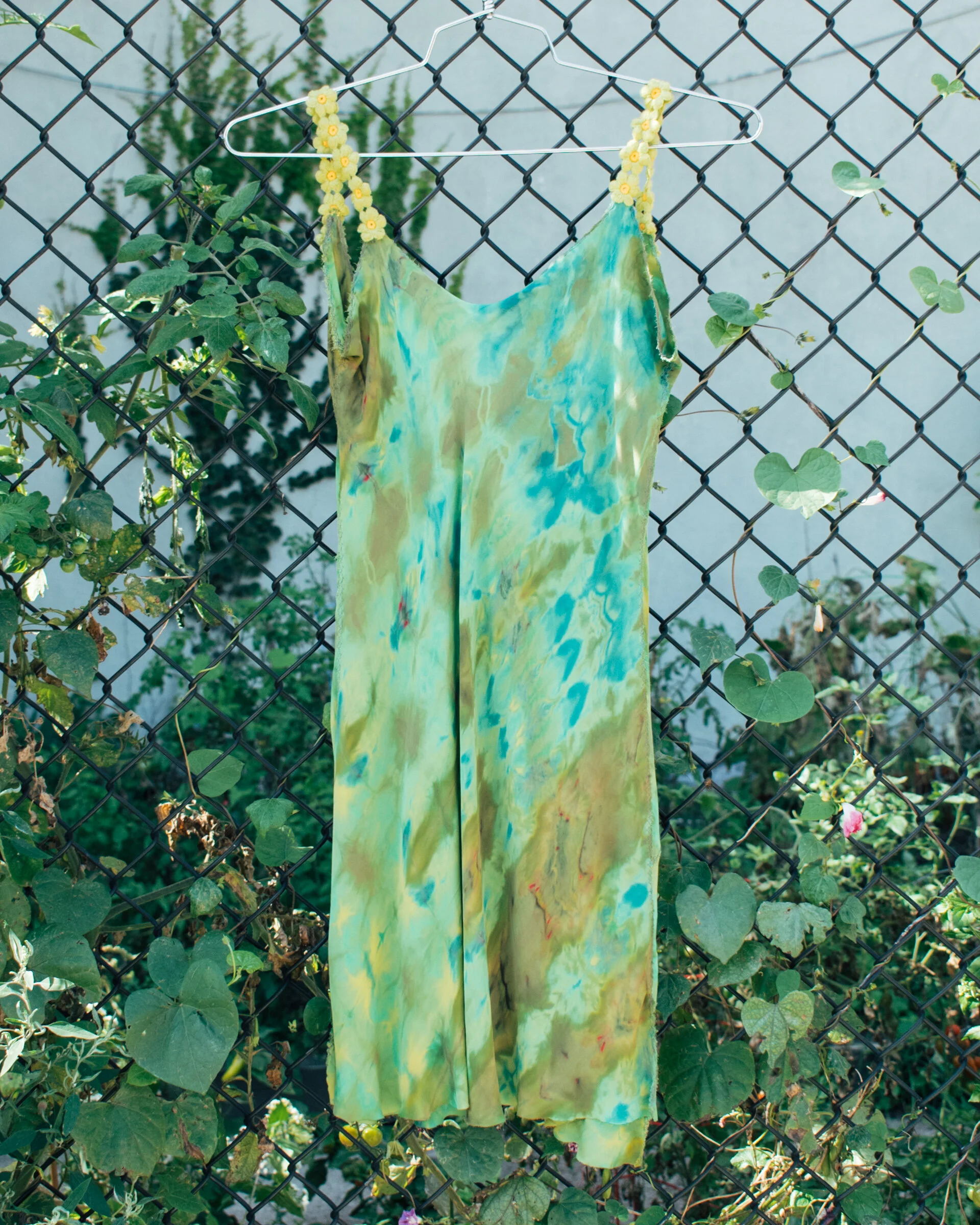 91EC74E2-FAE1-46F6-8BC2-1DFF63AA202F