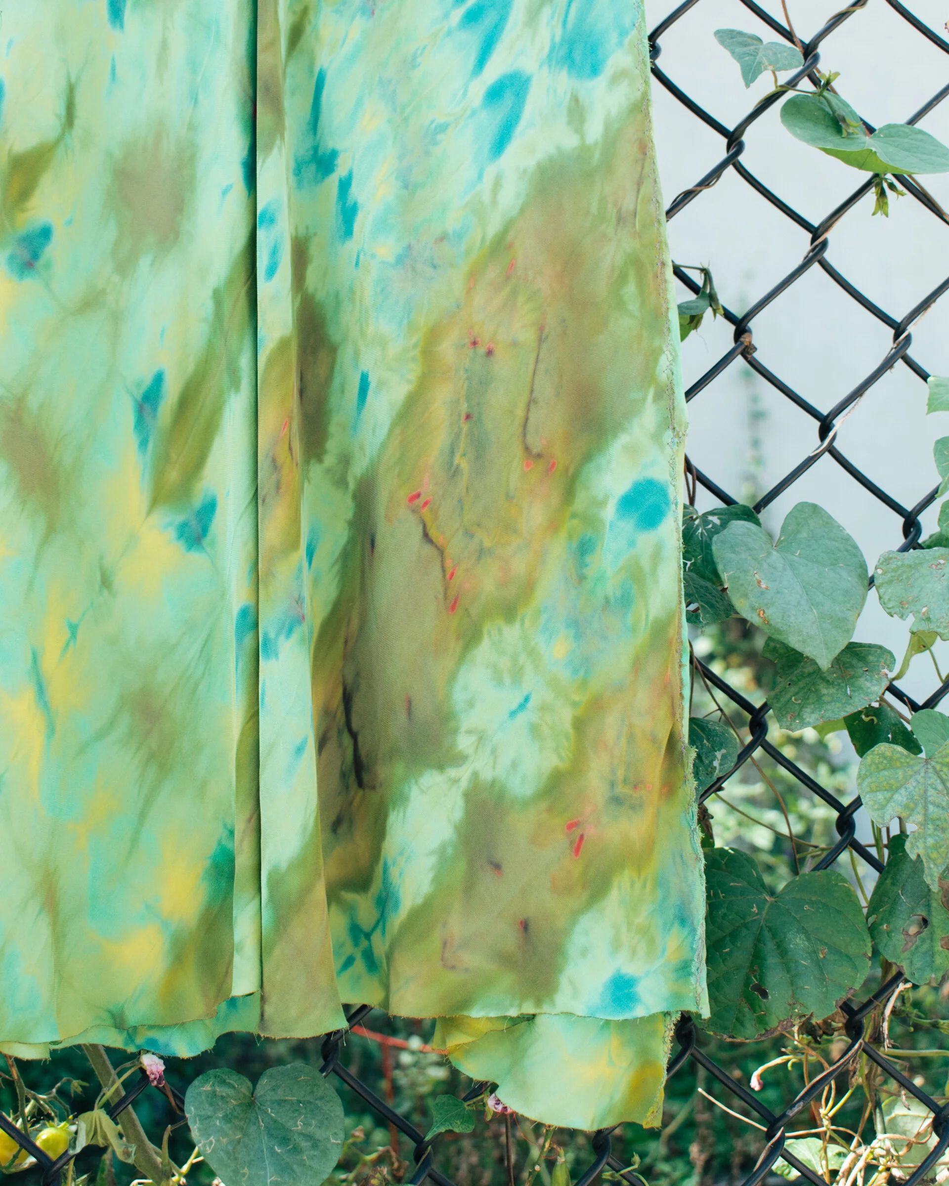 983EC12E-FF39-4EB0-BA7D-6C39F178EF34