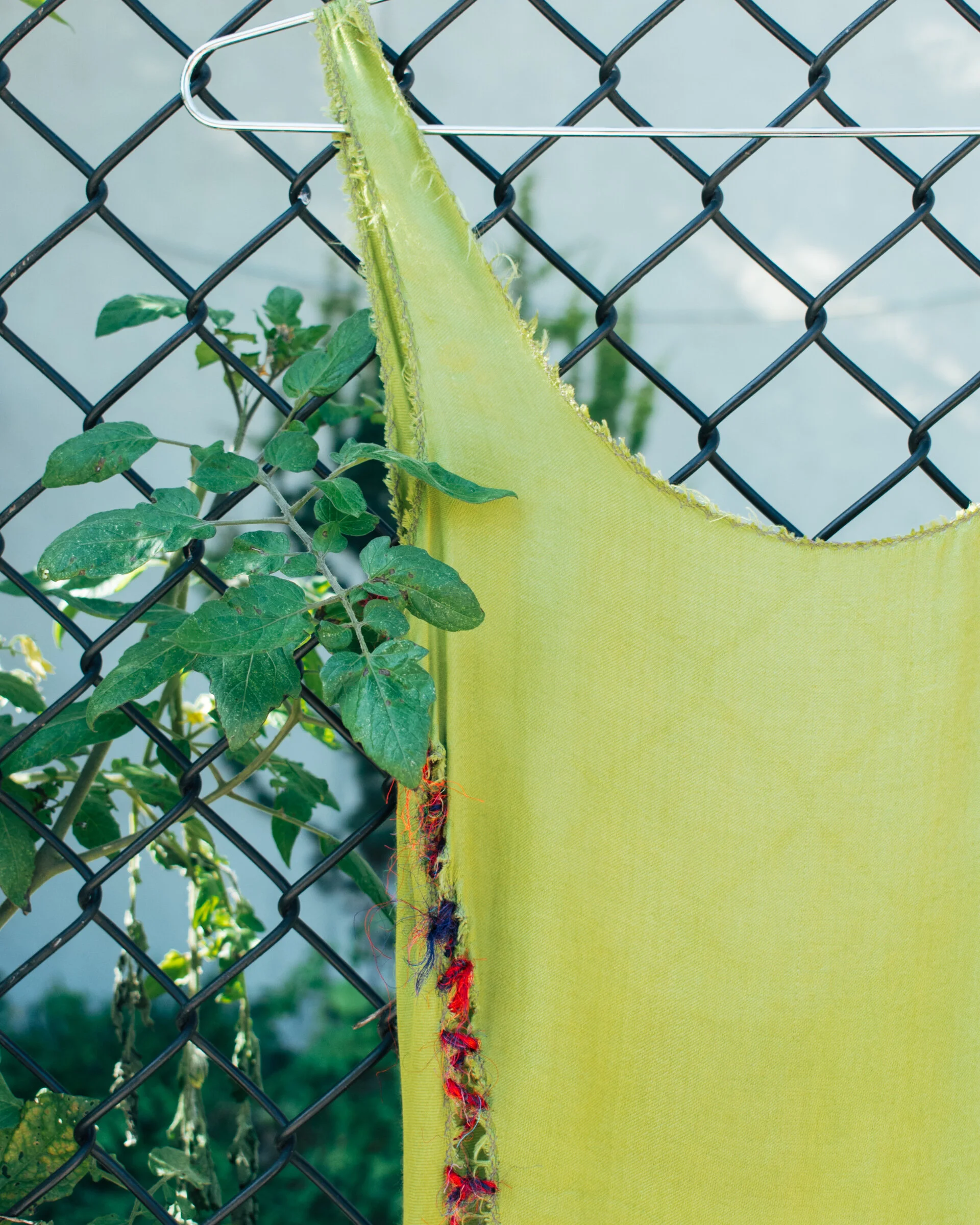 F969A129-85FC-4140-9A74-00A73BC4B7DA