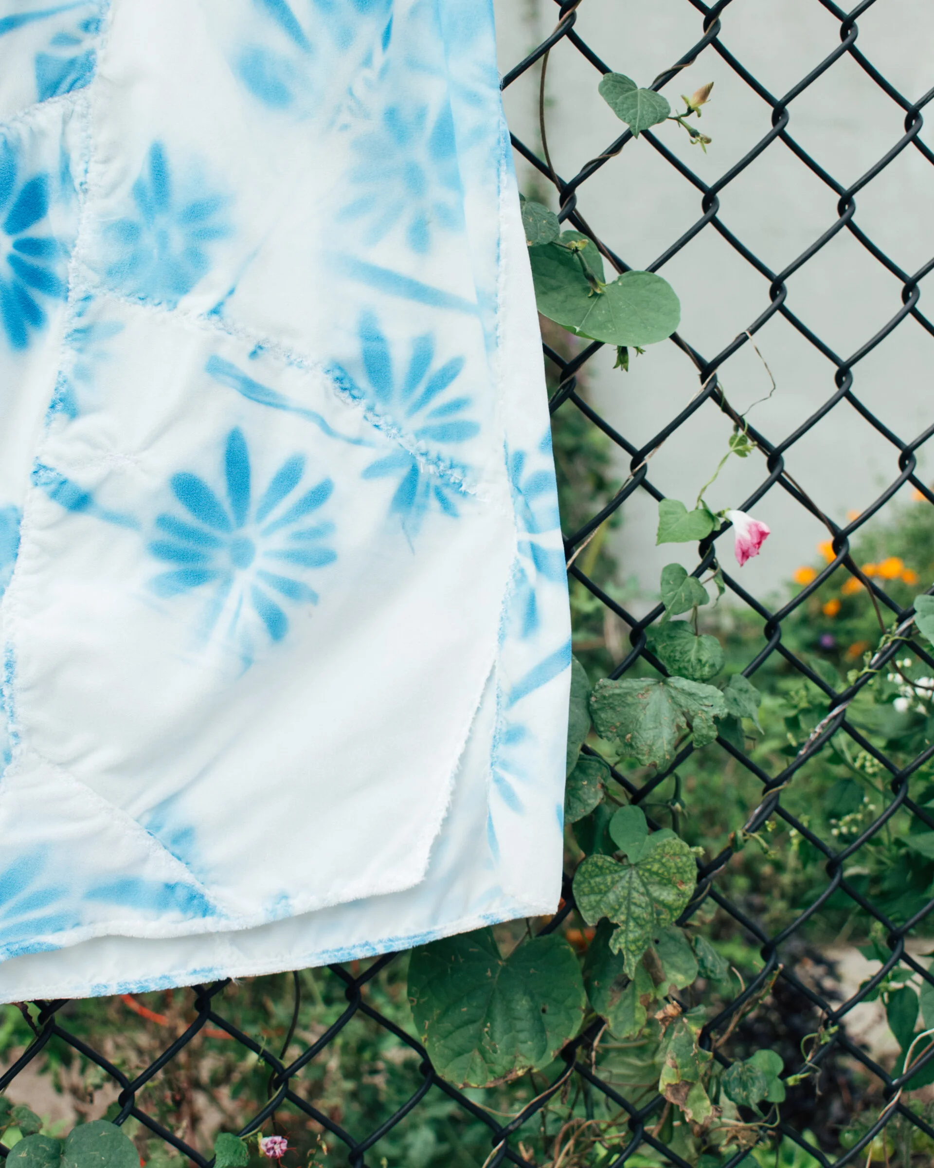 6D4234ED-CE33-4E0C-8E55-CD3418BBE0F7