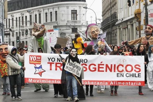 march-against-monsanto-valparaiso-chile-1a