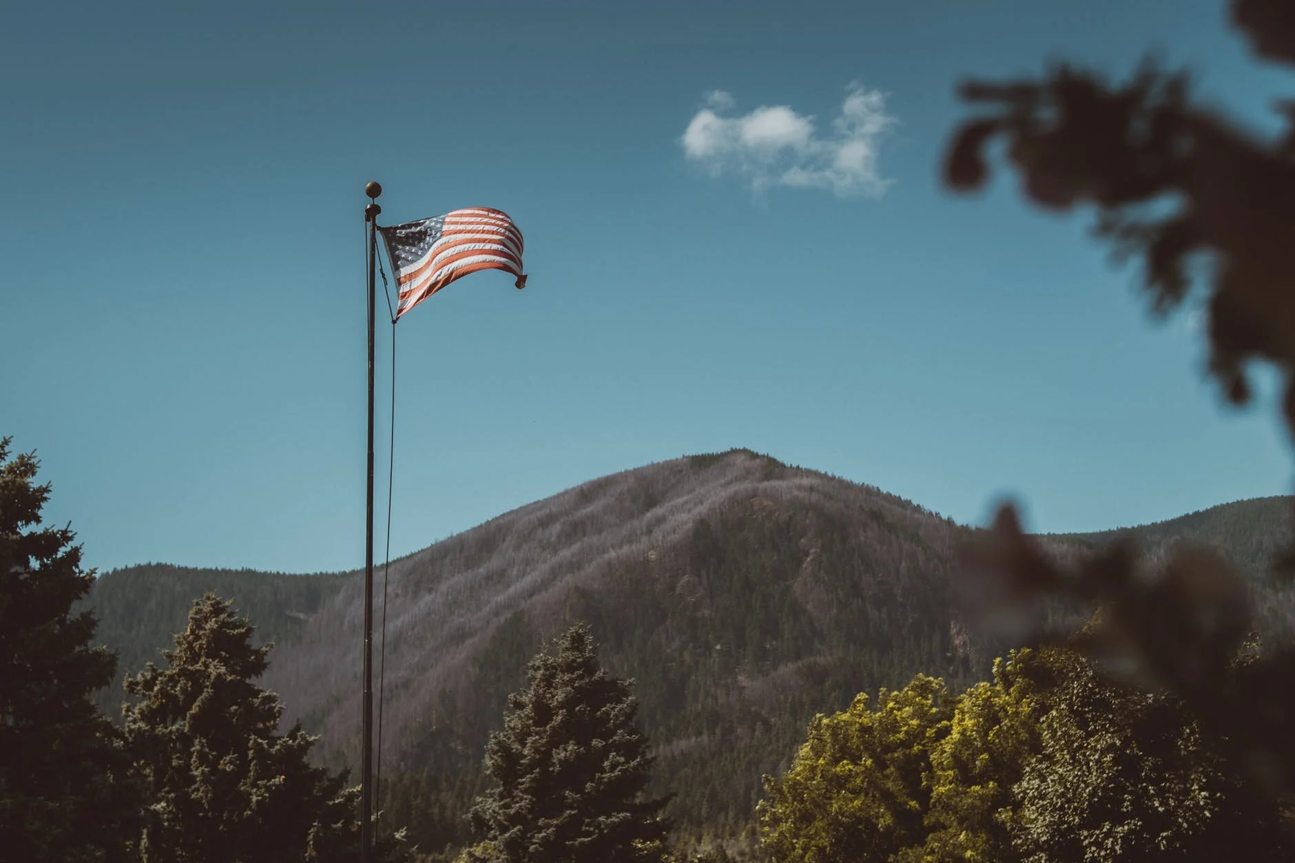 Photo: Pexels