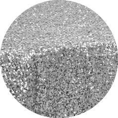 Sequin Silver