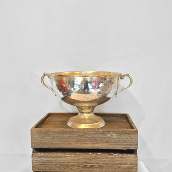 Silver Mercury Vase