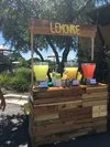 Lemonade Stand