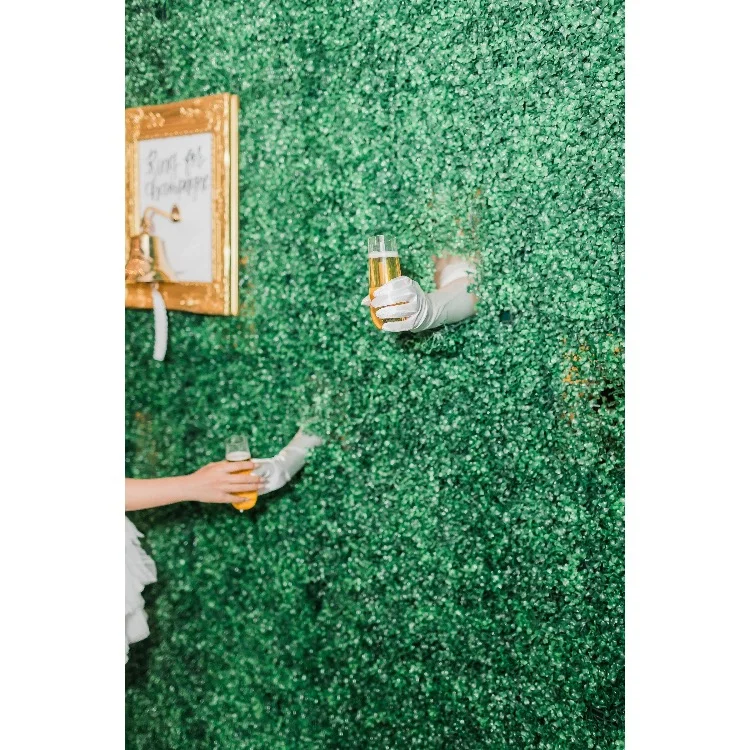 Living Champagne Wall 