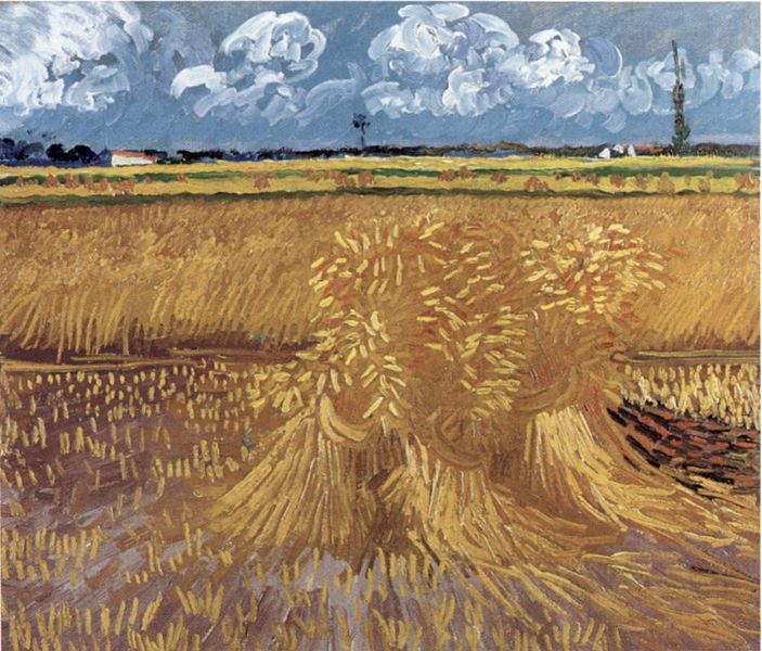 Van Gogh's Wheat Field.jpg