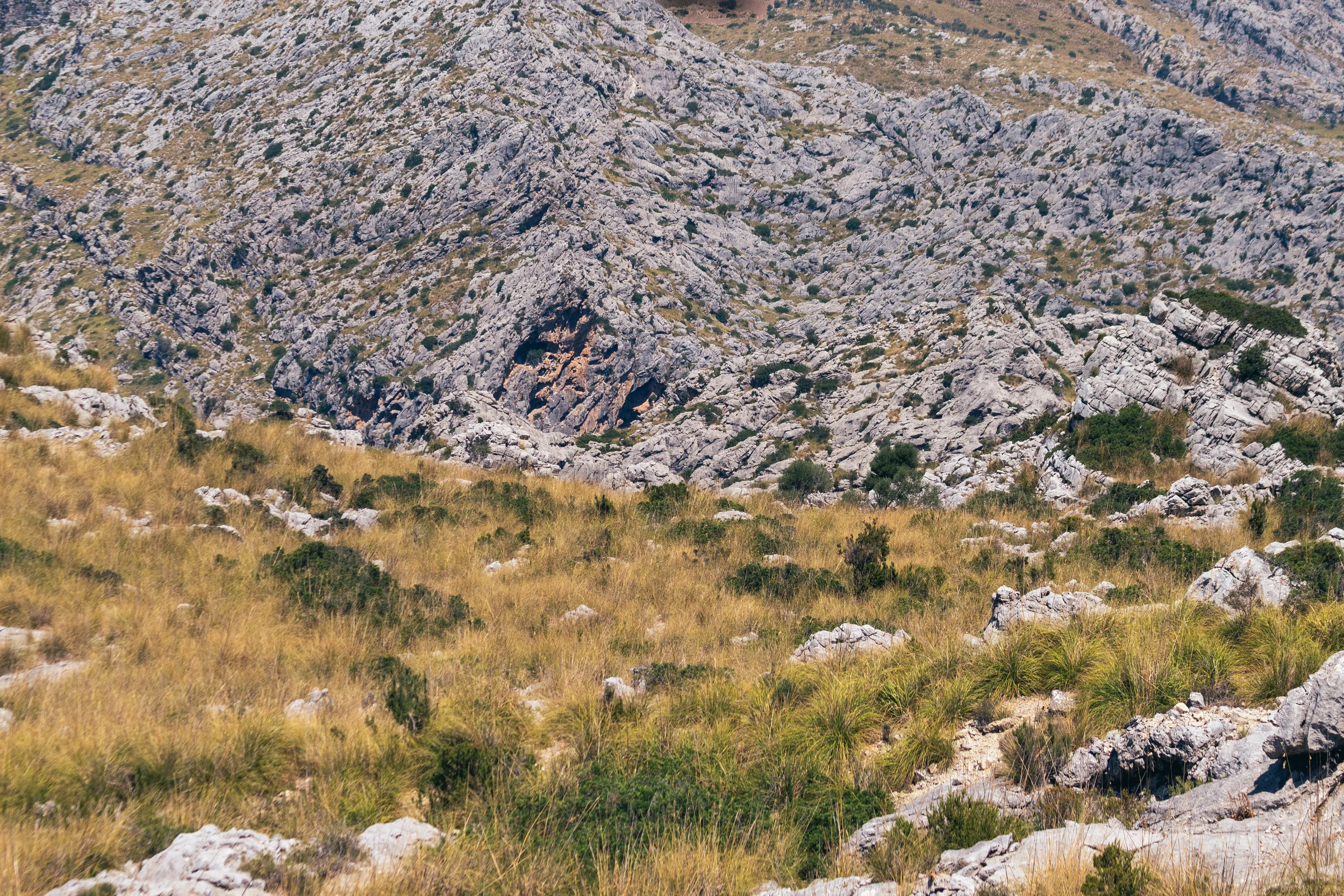 Bread in the Wilderness | Exodus 16:4-12