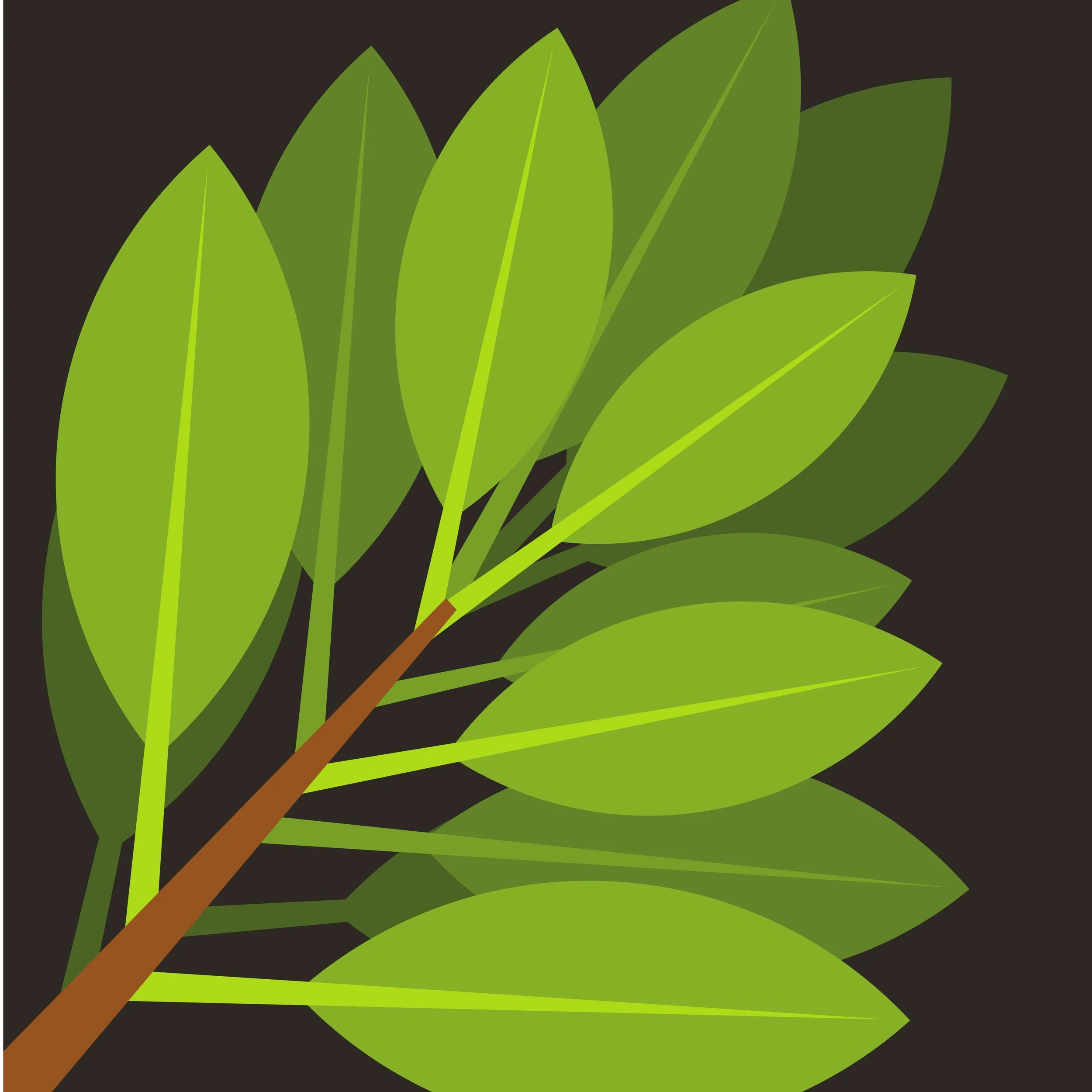 Yard Care and Church Spruce-up