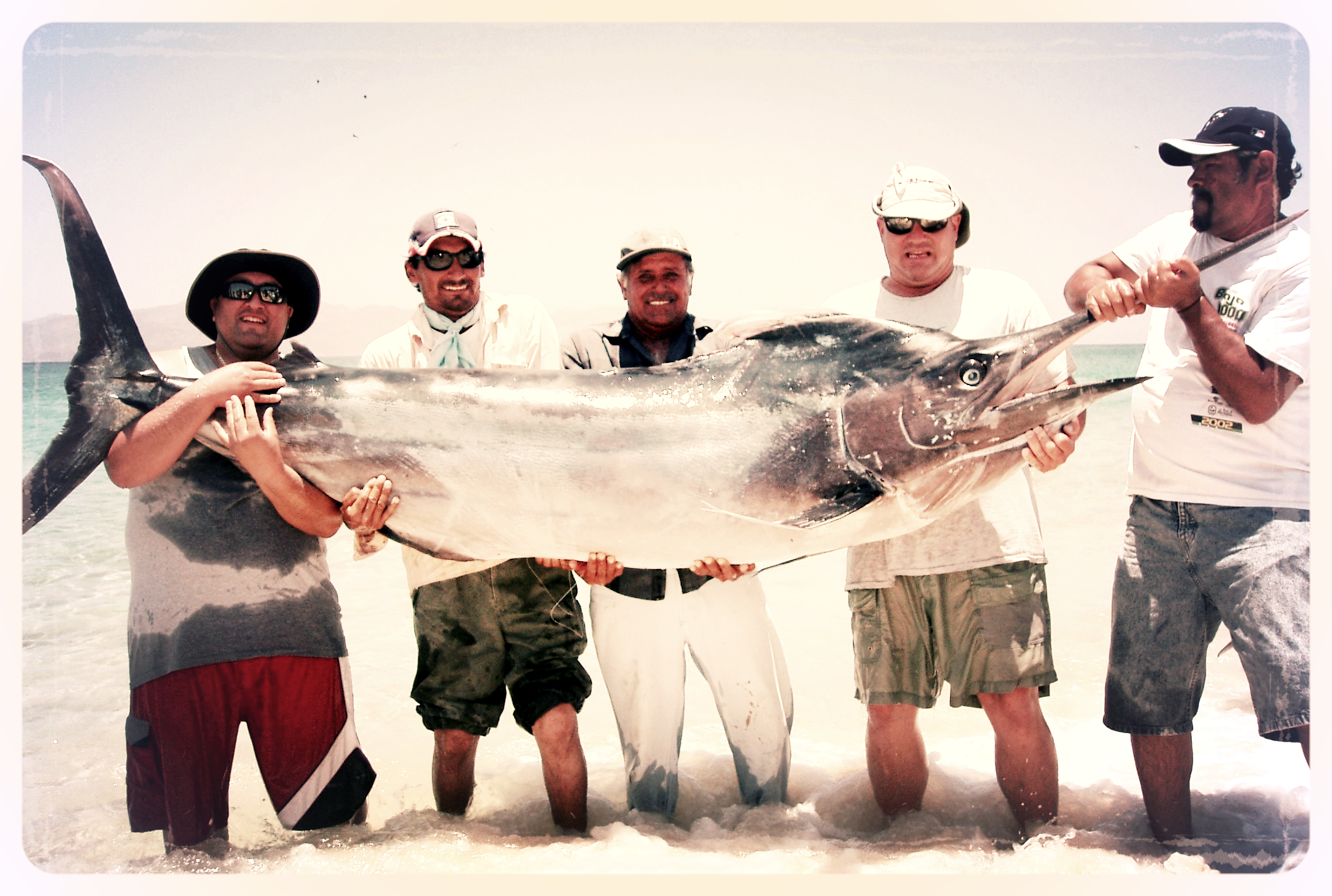 P.S. ( This fish is NOT from Essex ... ) 