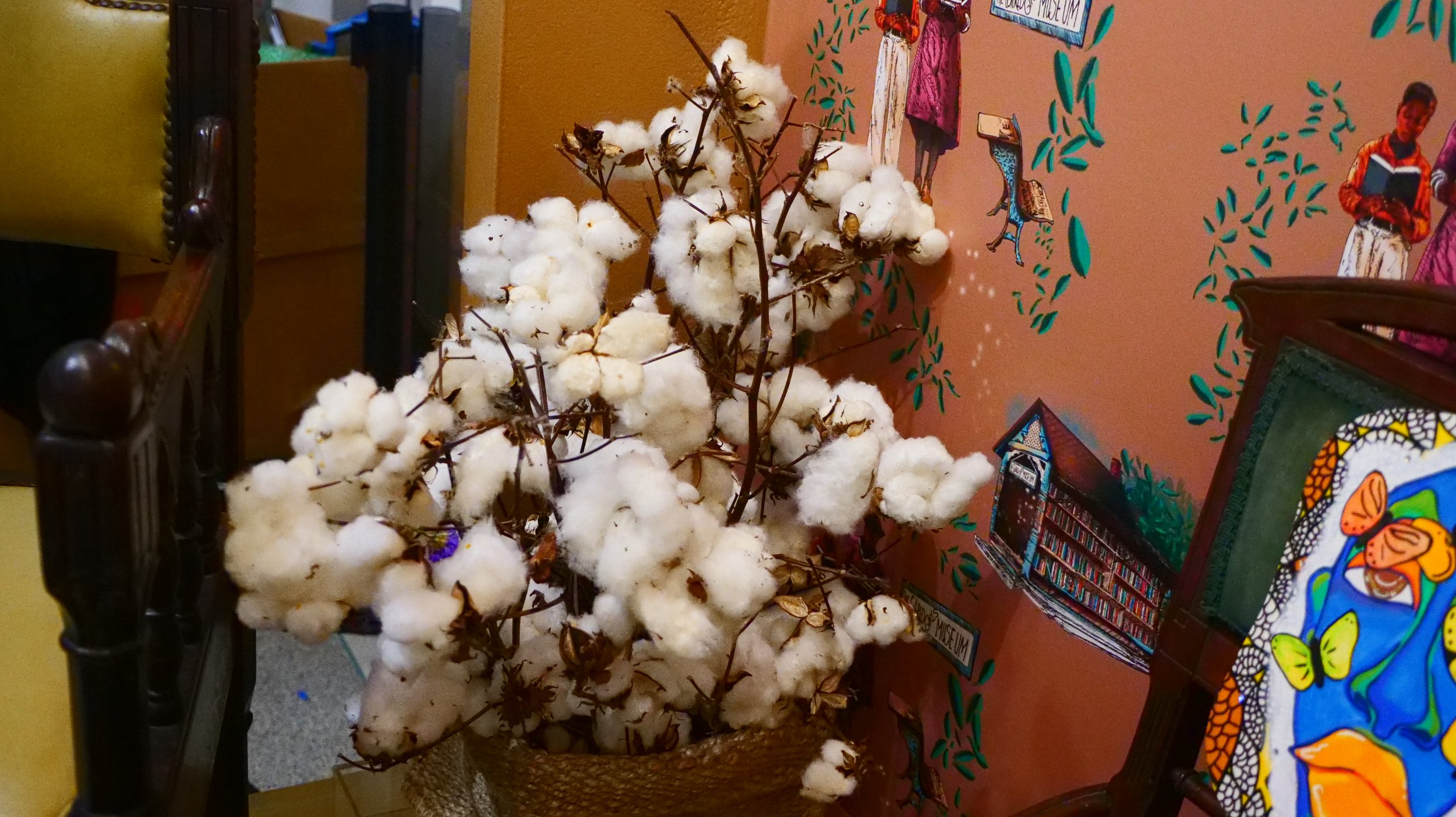  Arrangement of cotton. 