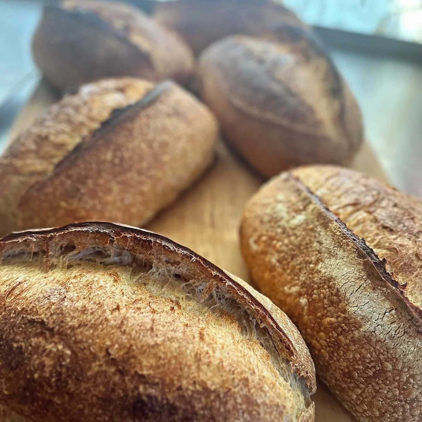 Alchemy Bread