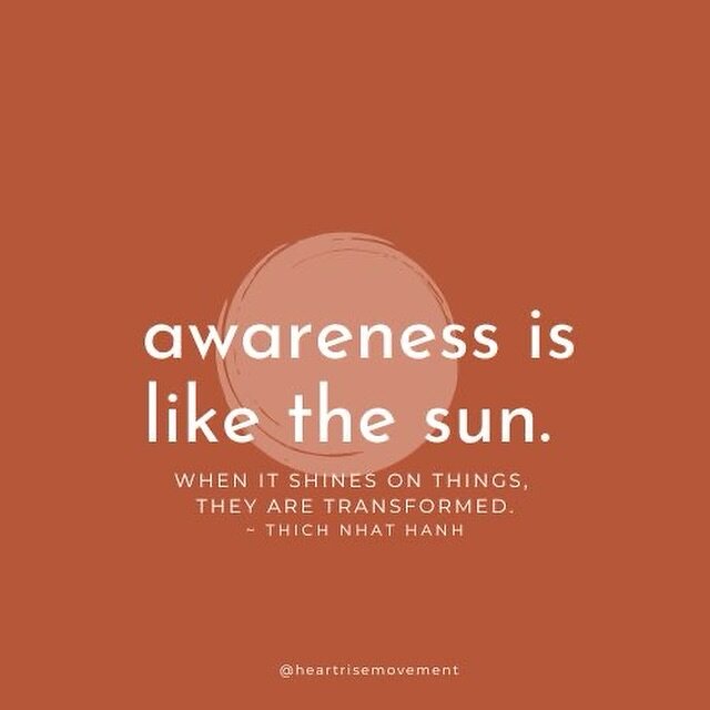 &ldquo;Awareness is like the sun. When it shines on things, they are transformed.&rdquo; @thichnhathanh 🌻

Awareness is the loving attention that illuminates our inner and outer worlds. It&rsquo;s the clarity that allows us to see ourselves and the 