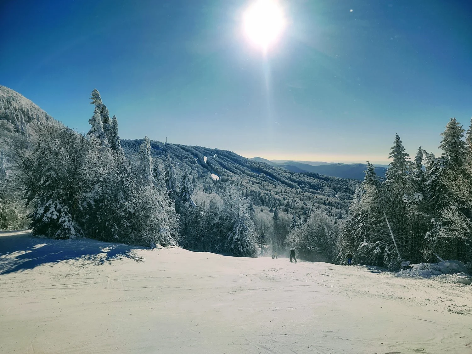 ALPINE SKIING & RIDING