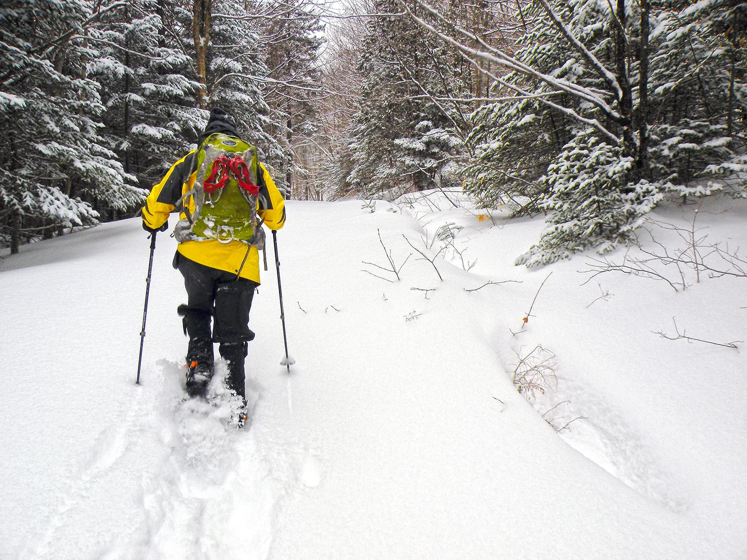 HIKING, SNOWSHOEING & XC SKIING
