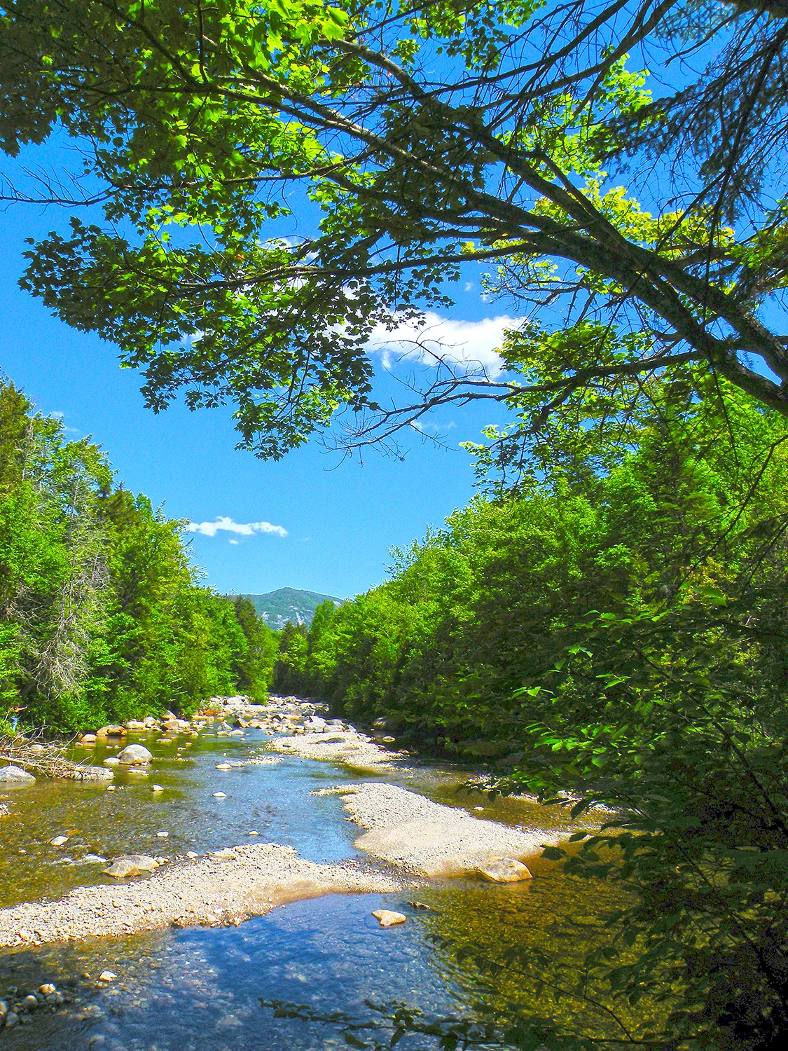 The Opalescent River. Bill Ingersoll
