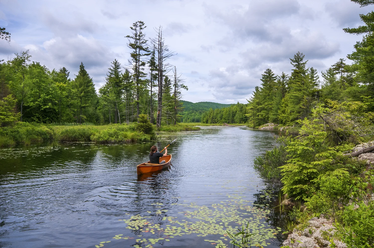 Amy’s Park offers two spots to launch a canoe or kayak into its beaver pond (some portage required). Carl Heilman, II/Wild Visions, Inc.