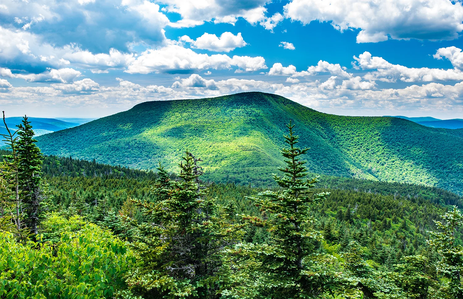 Slide Mountain, highest peak in the Catskills, and Long Path high point. Steve Aaron Photography