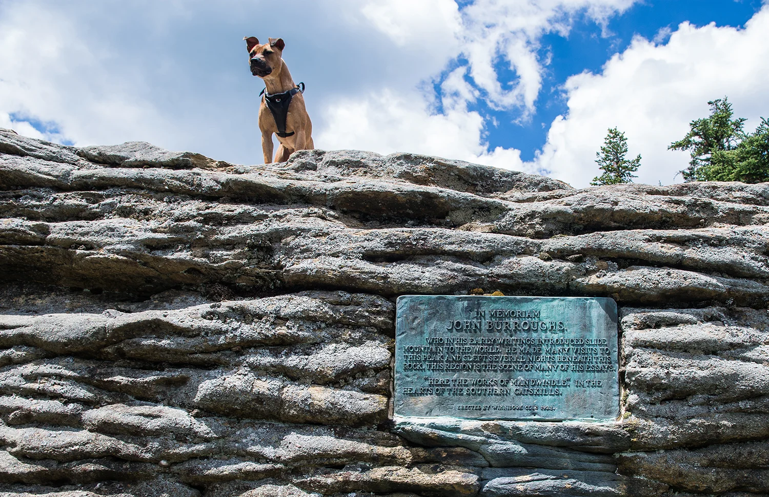 John Burroughs memorial plaque on the summit of Slide Mountain. Steve Aaron Photography