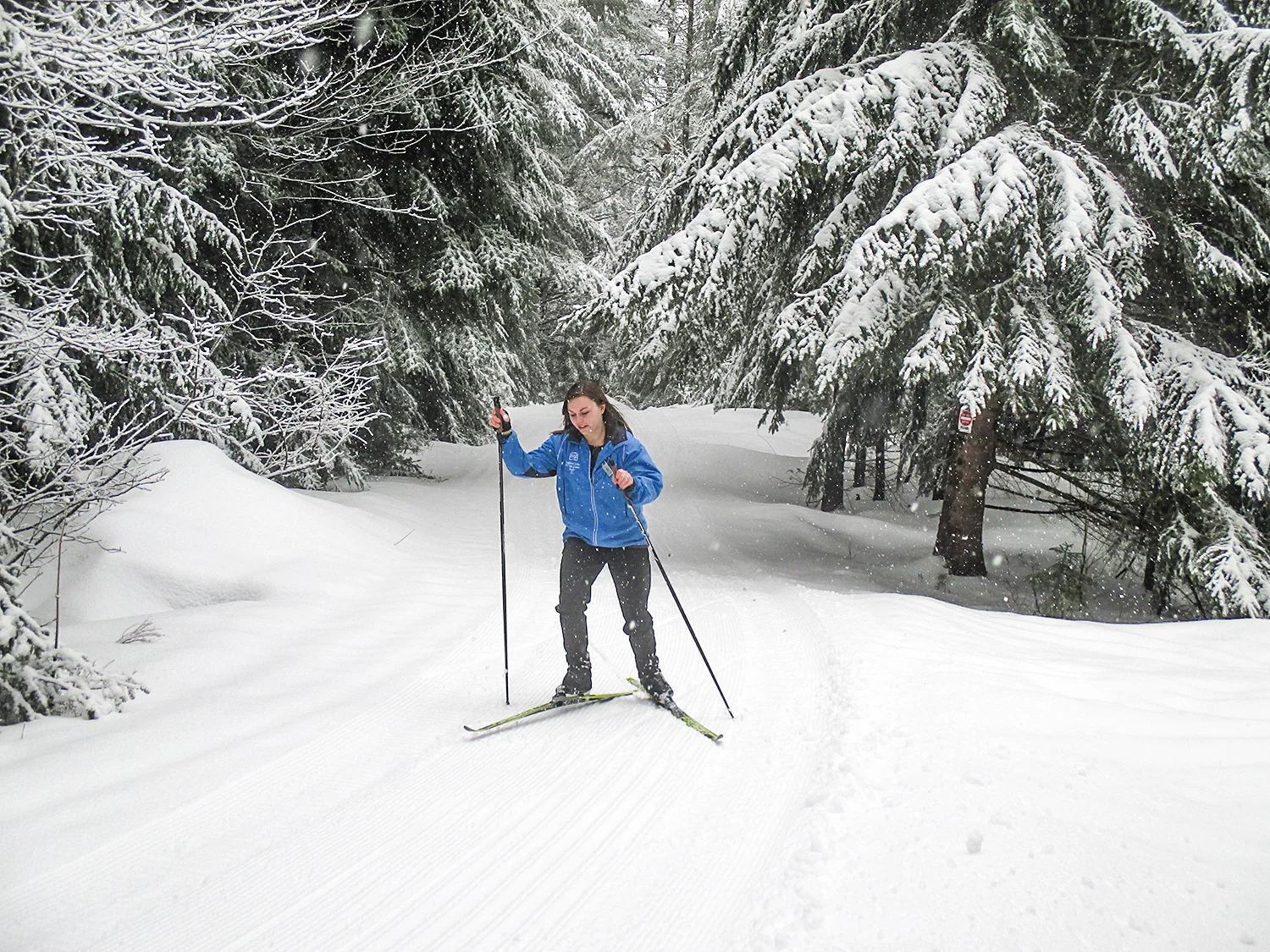 Skate skiing at Lapland Lake on April 1, 2017. Lapland Lake