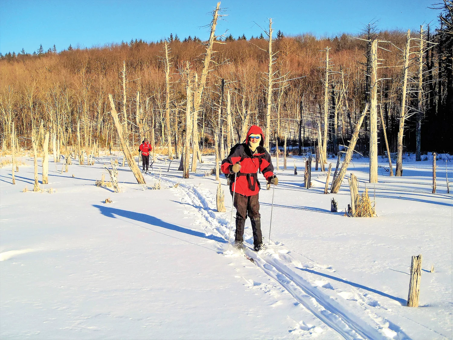 NORDIC SKIING & SNOWSHOEING