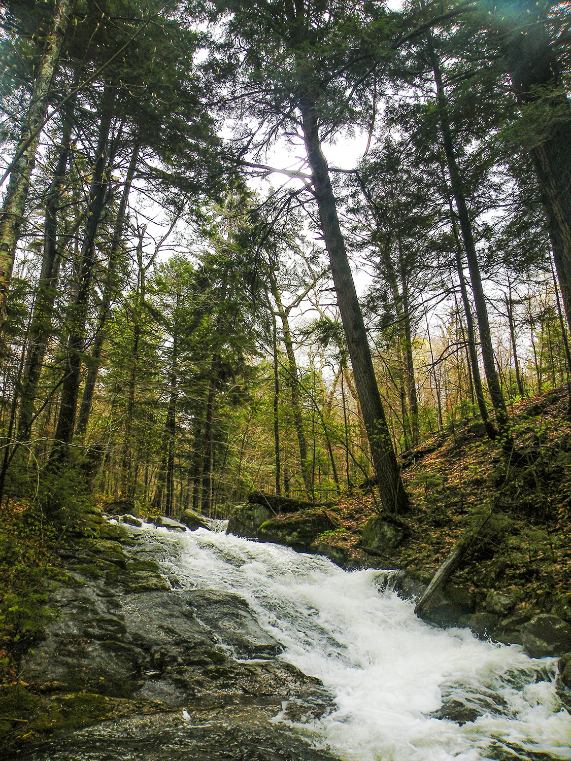 Puffer Pond outlet cascade. Bill Ingersoll