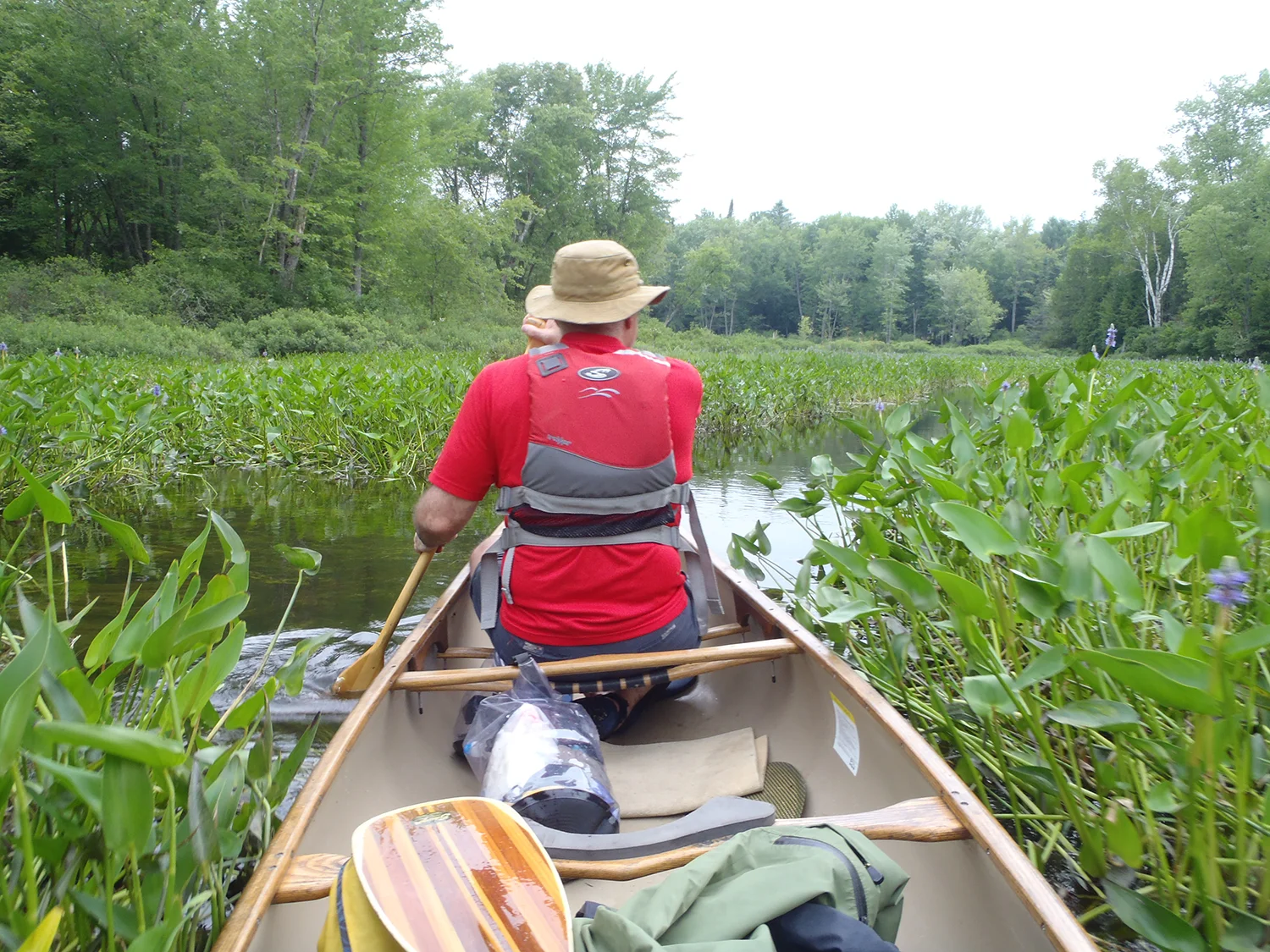 Exploring Alder Creek. Rich Macha