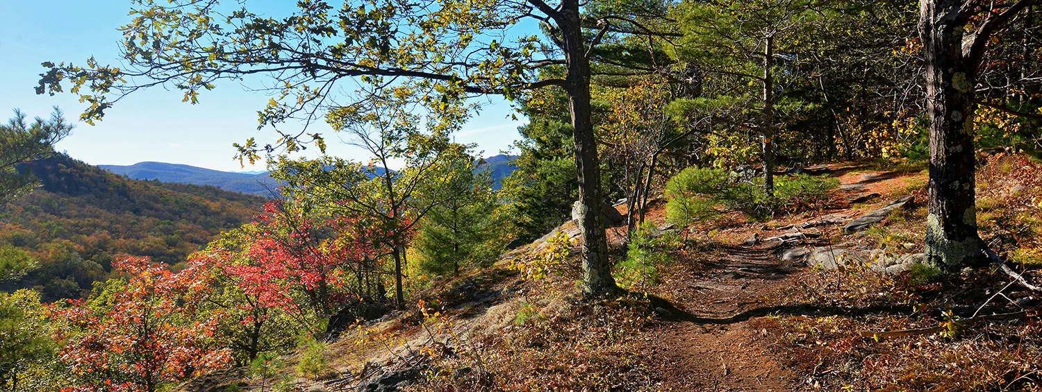 2018-10-hiking-01.jpg