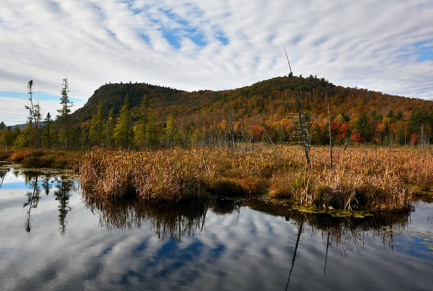 Moxham ridgeline from Route 28N. Dave Kraus/ krausgrafik.com