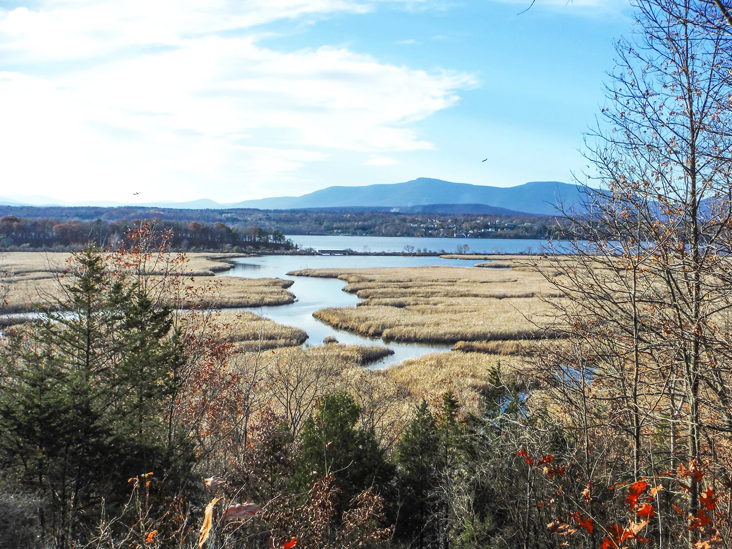 Tivoli North Bay with the Catskills beyond. Rich Macha