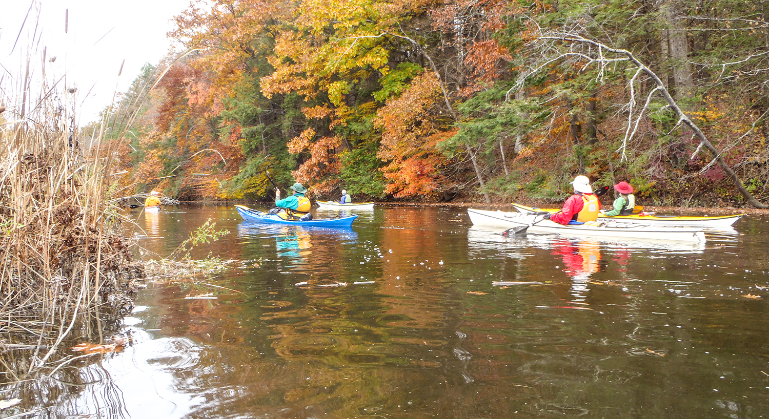 2018-10-paddling-04.jpg