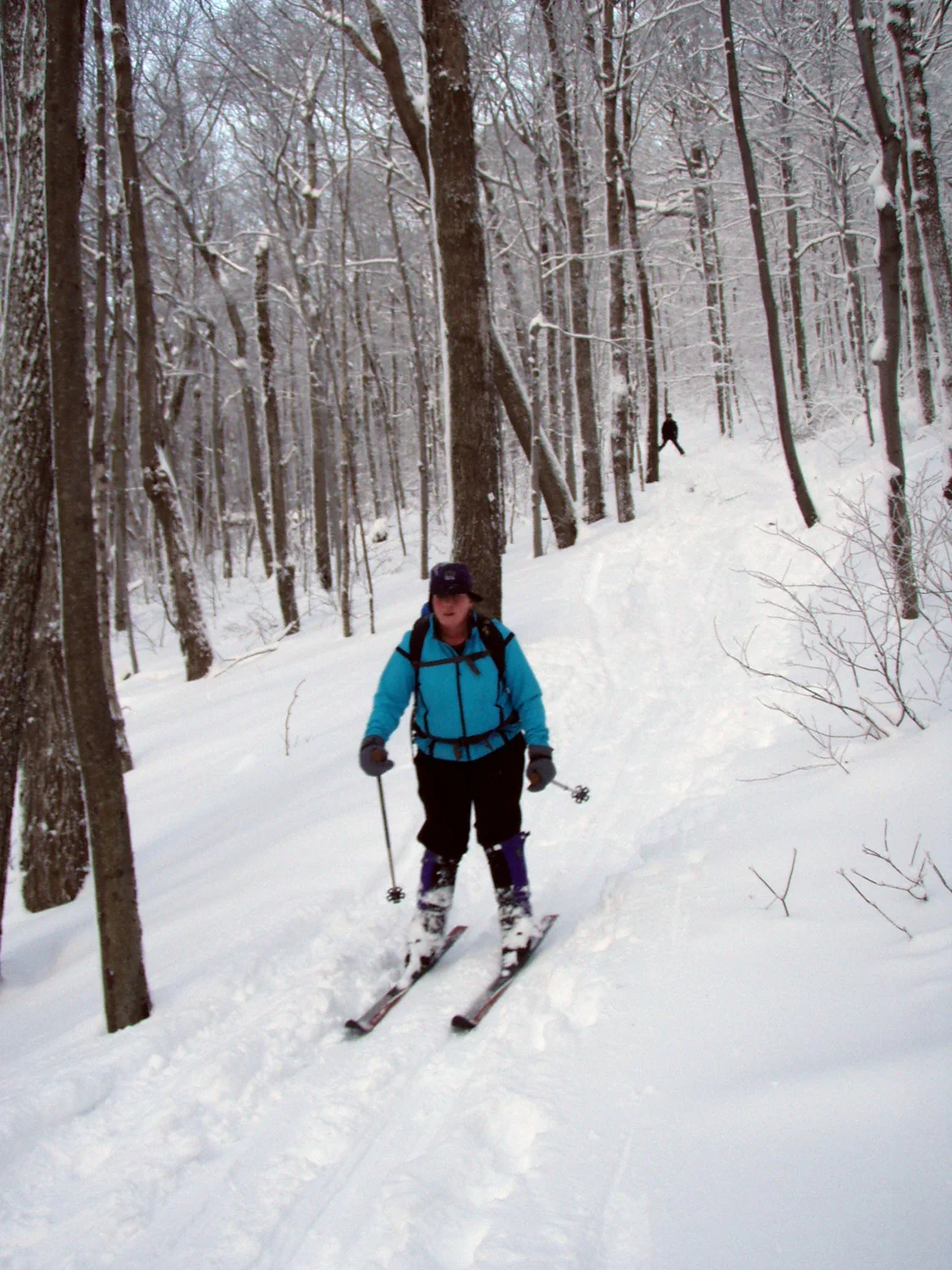 Taconic Crest Trail north of Petersburg Pass. Rich Macha