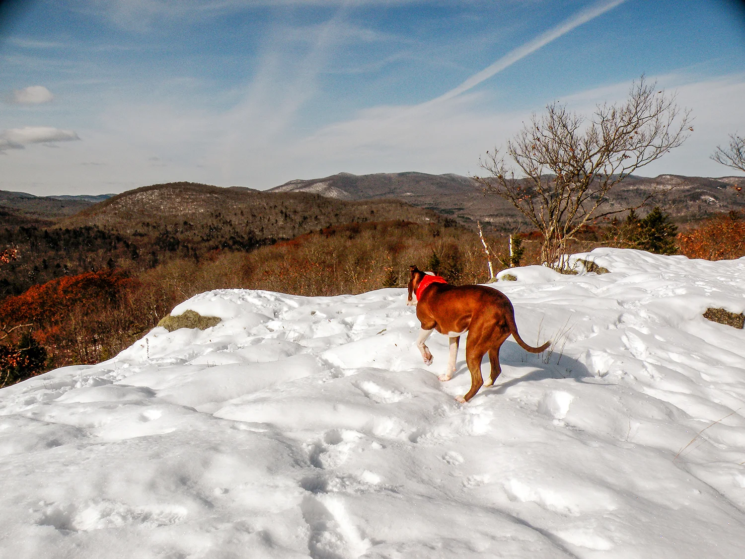 2019-01-hiking-02.jpg